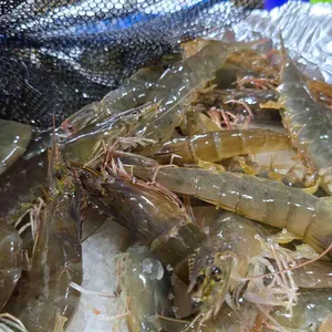 대기수산 대표 사진