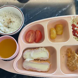 카츠헤세드 사진