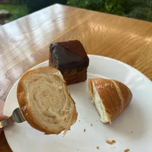 시드누아 대표 사진