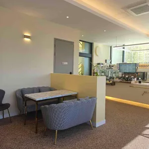 도로티 대표 사진