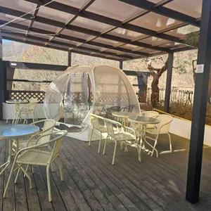 도로티 리뷰 사진