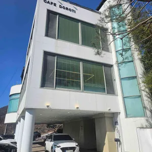 도로티 리뷰 사진