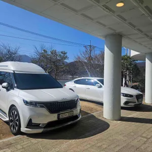 도로티 리뷰 사진