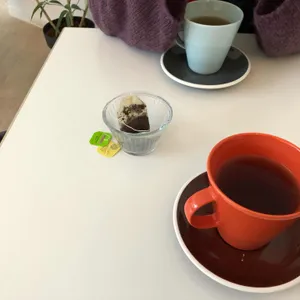 식목일 대표 사진