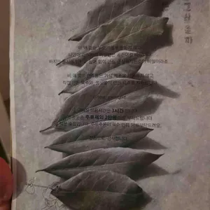 비밀은 왜 말하고 싶을까 리뷰 사진