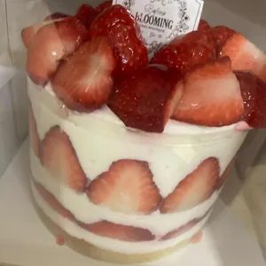 비포블루밍 앤 롤시엘 사진