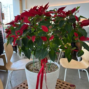 오밀조밀 대표 사진