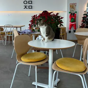 오밀조밀 대표 사진