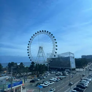 속초 항아리물회 리뷰 사진