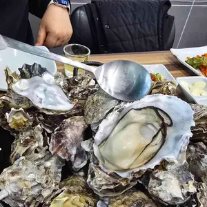 노량진종합회어시장 대표 사진