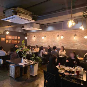 파델라 리뷰 사진