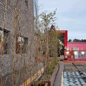 서생이화 대표 사진