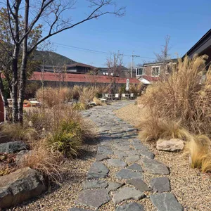 마가진 대표 사진