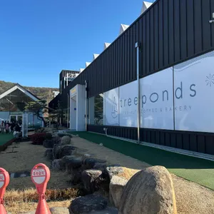 트리폰즈 대표 사진