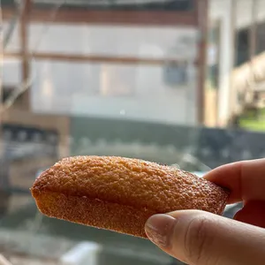 데어벤치 대표 사진