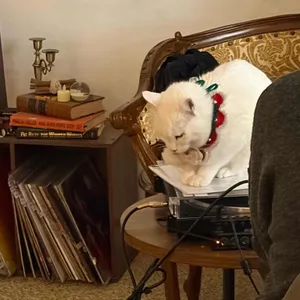 브리릭 대표 사진