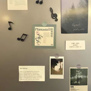 브리릭 대표 사진