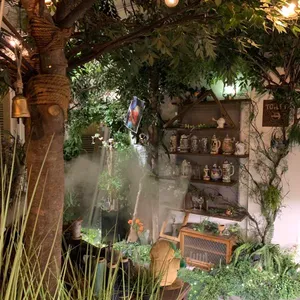 숲길 대표 사진