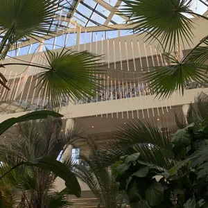 후탄 대표 사진