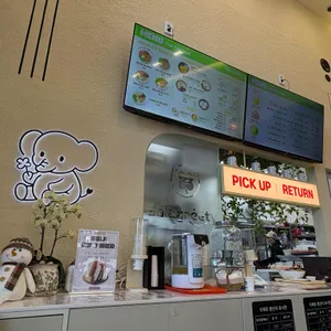 샐러그리티 대표 사진
