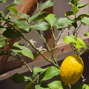 삼례로스터리카페 대표 사진
