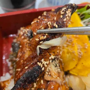 본가스시 대표 사진