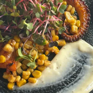 핌피 대표 사진