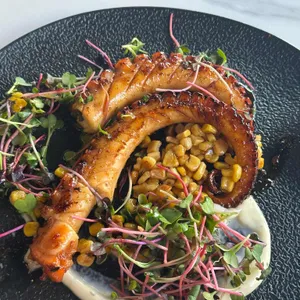 핌피 대표 사진