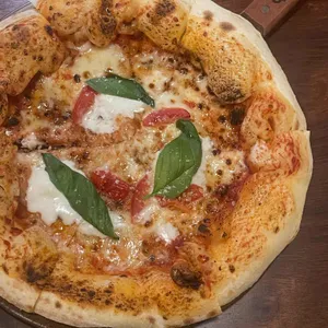 자카란다 대표 사진