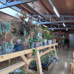 과수원 프로젝트 대표 사진