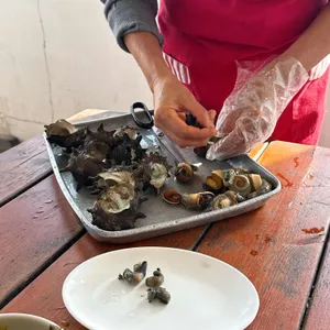 비양도해녀의집 사진 1