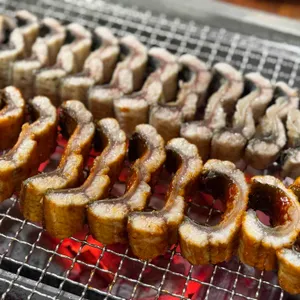 정글의법칙 대표 사진