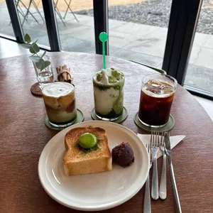 글로시말차 사진 2