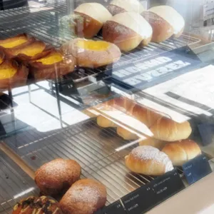 바셋하운드 사진