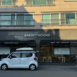 바셋하운드 리뷰 사진