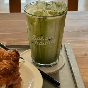 바셋하운드 대표 사진