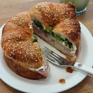 바셋하운드 대표 사진