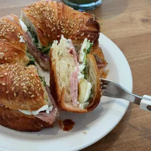 바셋하운드 대표 사진