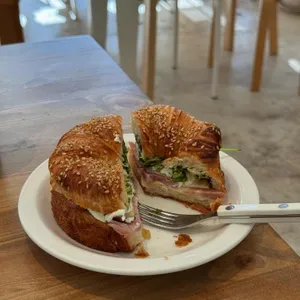 바셋하운드 사진