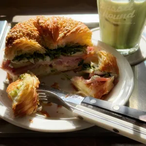 바셋하운드 사진