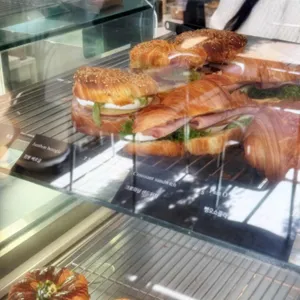 바셋하운드 사진