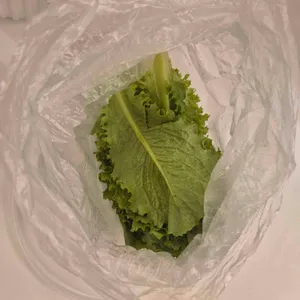 마포 오향족발 대표 사진