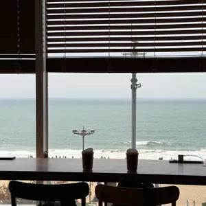 워킹홀리데이 대표 사진