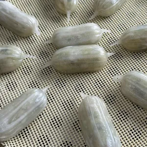 광안리 대교밀면 대표 사진