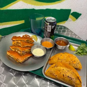 더타코부스 대표 사진