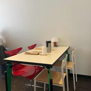 코리 대표 사진