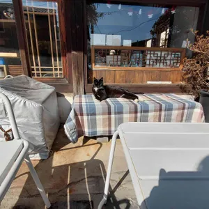 루치아의뜰 대표 사진