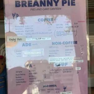 브레니파이칸틴 리뷰 사진