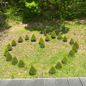 숲속의제빵소 대표 사진