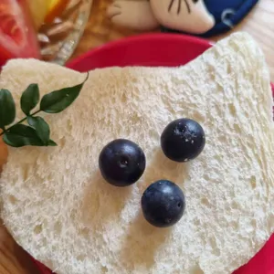 사랑과 자유 대표 사진